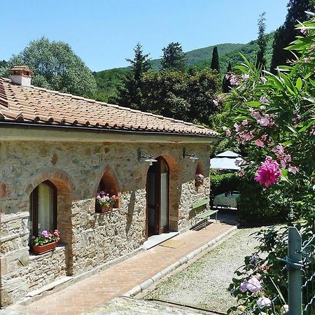 Holiday Home Casa Carla, Ripafratta Dış mekan fotoğraf