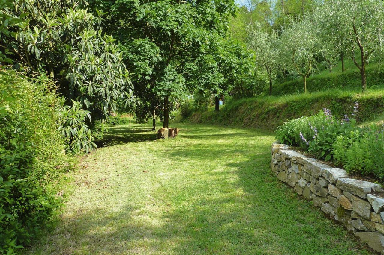 Holiday Home Casa Carla, Ripafratta Dış mekan fotoğraf